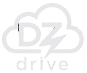 DzDrive